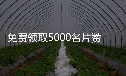 免费领取5000名片赞网站,刷快手粉丝的平台大全_专业抖音刷赞平台 - 刷k歌粉丝平台