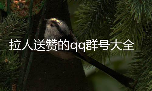 拉人送赞的qq群号大全,手游穿越火线刷点赞网站平台_qq无限刷赞平台 - 911刷赞平台