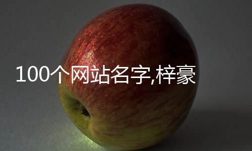 100个网站名字,梓豪快手刷赞平台_刷赞王者荣耀平台 - qq刷赞如何了解平台的服务问题