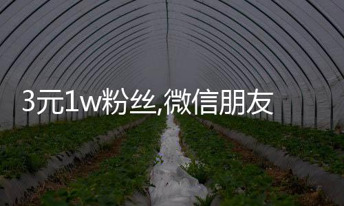 3元1w粉丝,微信朋友圈刷赞平台网页版_腾讯微博刷粉丝平台 - 拼多多刷粉丝平台